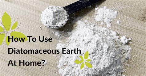 How To Use Diatomaceous Earth At Home? | Amol Minechem Limited