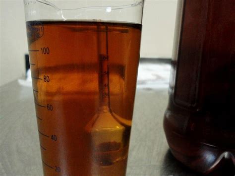 Кальвадос пошаговый рецепт с фото