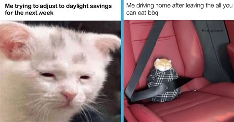 A Feisty Frenzy Of 32 Purrfectly Funny Feline Memes For Your Caturday