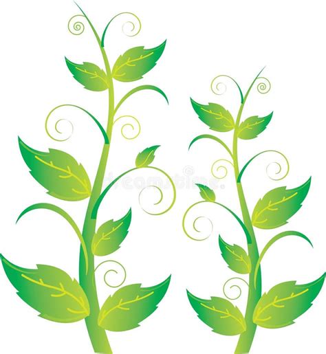 Green Leaves Vine Clip Art stock illustration. Illustration of vine ...