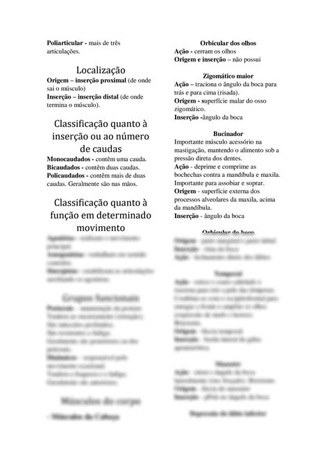 Solution Anatomia Humana Sistema Muscular Studypool