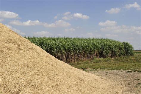 The Latest Building Materials Come From The Farm Wur