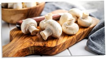 Mushrooms: Their Strange & Surprising Symbolic Meanings - Subconscious ...