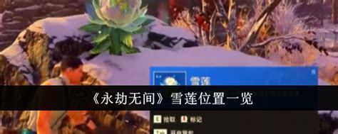 永劫无间雪莲位置在哪里 雪莲位置一览3dm手游