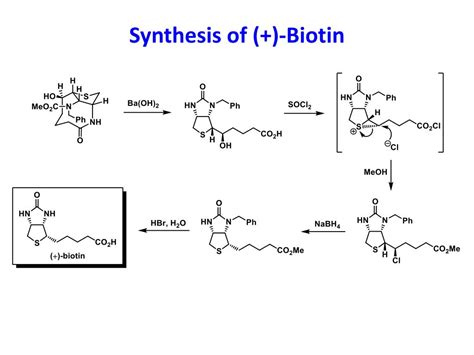 PPT - Total Synthesis of (+)-Biotin PowerPoint Presentation, free ...