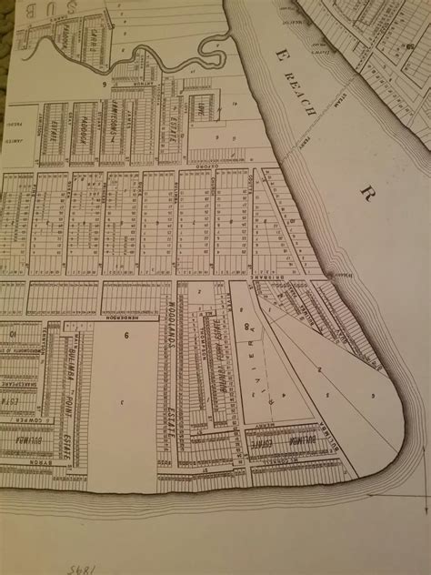 1895 Map of Bulimba | Ohana's Restoration