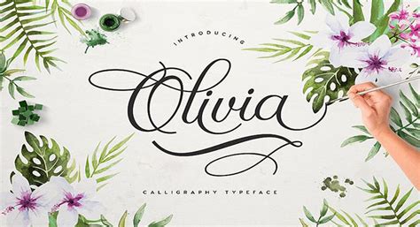 Olivia Script Font Free Download - Font XS