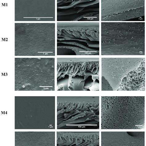 Fesem Images Of The Bare Pes Pes Mwcnts And Pes Go Membranes Top