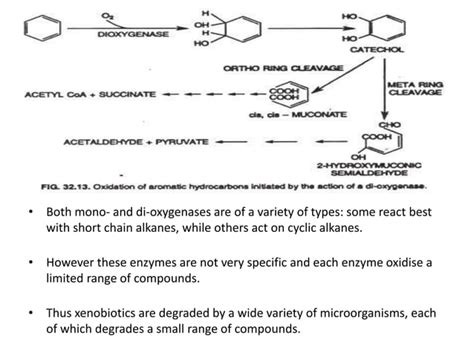 Environmental Microbiology Microbial Degradation Of Recalcitrant Compounds Ppt