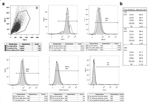 Representative Flow Cytometry Data To Characterize Phenotypes Of Human Download Scientific