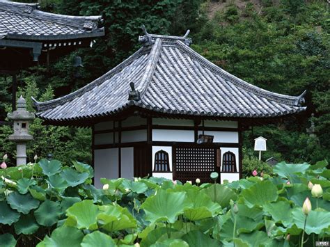 Маленький японский домик (68 фото) » НА ДАЧЕ ФОТО