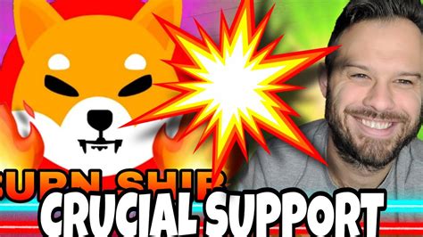 Shiba Inu Coin Trillion Shib Reveal Crucial Support Level Youtube