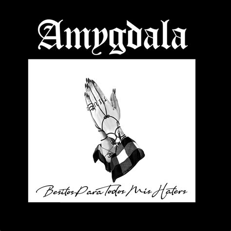 Amygdala Share New Song \\\\\\\"Darvo\\\\\\\": Listen