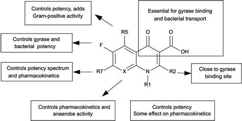 The Structure Activity Relationship For Fluoroquinolone Antibiotics Download Scientific Diagram