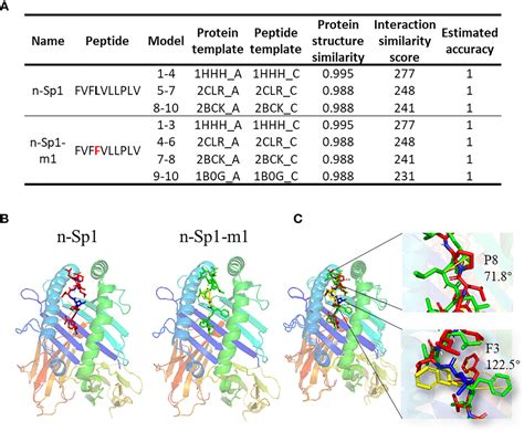 Frontiers Cd8 T Cell Epitope Variations Suggest A Potential Antigen