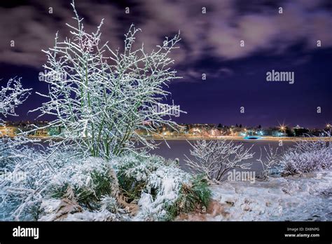 Winter in Reykjavik, Iceland Stock Photo - Alamy