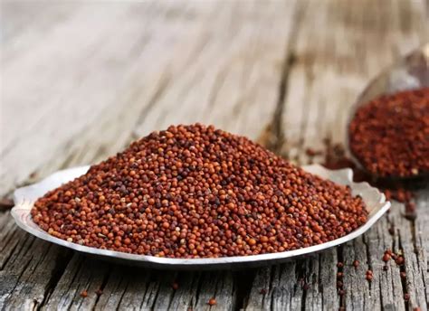 Unpolished Finger Millet Ragi Biteskart Healthy Food Store