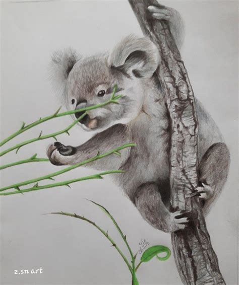 Realistic Koala Drawing | Animal Art