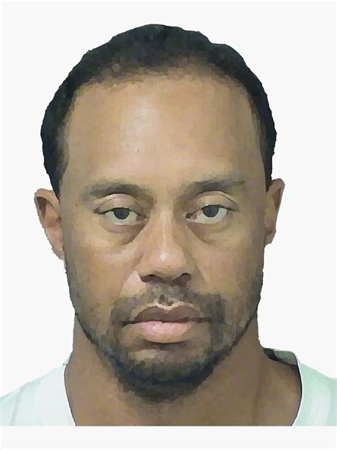 Tiger Woods Mug Shot Sticker For Sale By Meganbioletto43 Redbubble