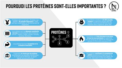 Tout savoir sur les protéines NXT Level Sports Nutrition