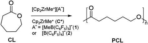 Mechanism Of Cationic Ring Opening Polymerisation Of Caprolactone