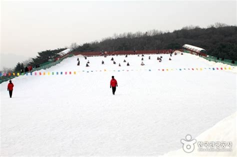 Seoul Land Sledding Hills Trippose