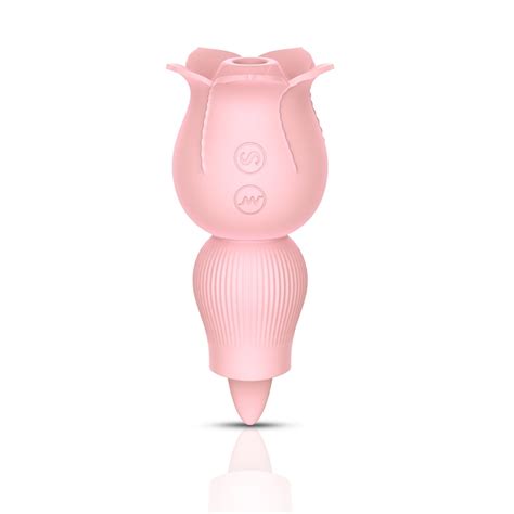 Liyafei Clit Sucking Vibrator Rose Vibrator 2 In 1 Design Sucking And