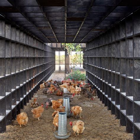 Five Chicken Coops Around The World 0 Hot Sex Picture