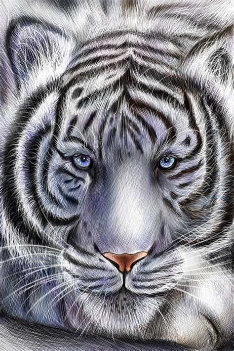 Ice Tiger Digital Art by Hayley Knowles | Fine Art America