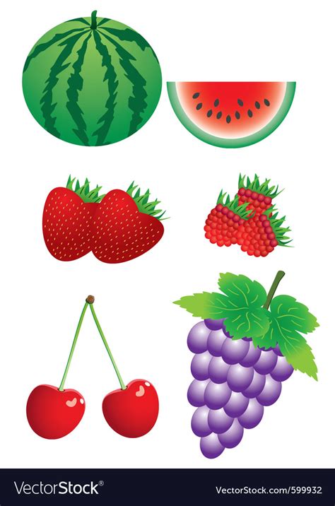 Set Of Berries Royalty Free Vector Image VectorStock