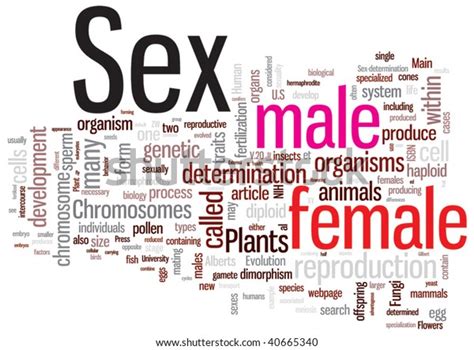 Sex Word Cloud Illustration Graphic Tag Stock Vector Royalty Free