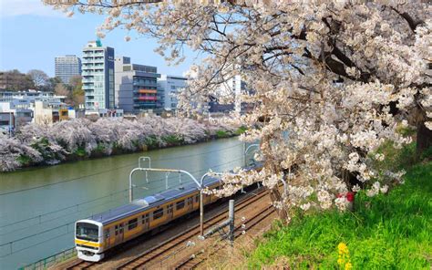 Best Train Lines For Living In Tokyo The Chuo Sobu Line Gaijinpot