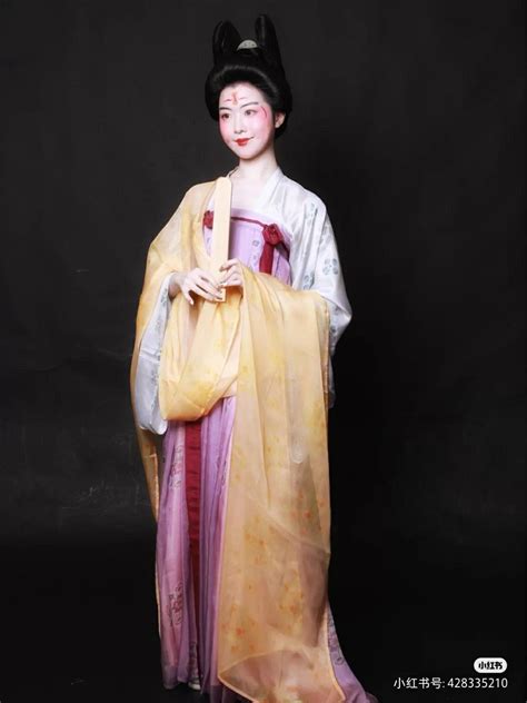 Hanfu China Tang Dynasty Chinese Traditional Clothing Hanfu