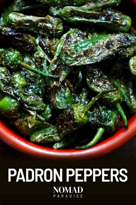 Spanish Padron Peppers Recipe (Pimientos de Padron) - Nomad Paradise