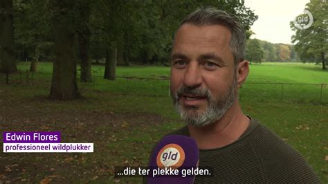 Het Paddenstoelenseizoen Is In Volle Gang Maar Pas Op Dat Je Niet Gaat