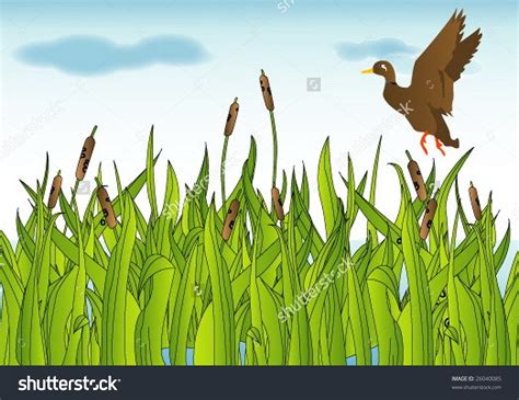 Wetland clipart 20 free Cliparts | Download images on Clipground 2024