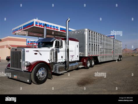 Cattle truck hi-res stock photography and images - Alamy