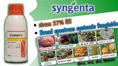 Cuman L Fungicide Ziram 27 Sc Broad Spectrum Systemic Fungicide