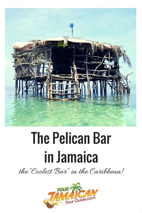 The Pelican Bar In Jamaica The Coolest Bar” In The Caribbean Cool