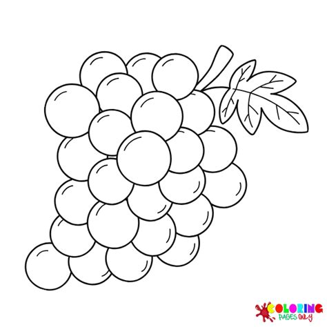 Pagine Da Colorare Di Uva Coloringpagesonly