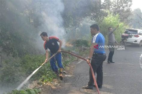 Antisipasi Lahan Hutan Terbakar Pemkab Rejang Lebong Terbitkan SE