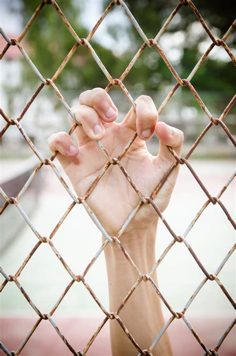 Hand With Mesh Cage Hands With Steel Mesh Fence Stock Image Image Of