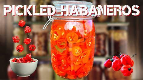 Pickled Habaneros Its Super Spicy Youtube