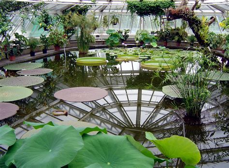 Botanical gardens in Germany | Avso