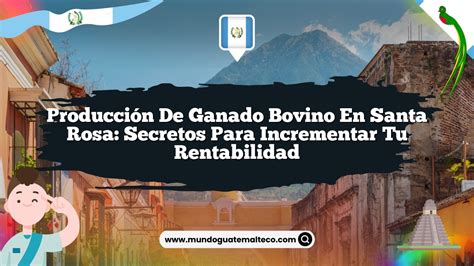 Producci N De Ganado Bovino En Santa Rosa Secretos Para Incrementar Tu