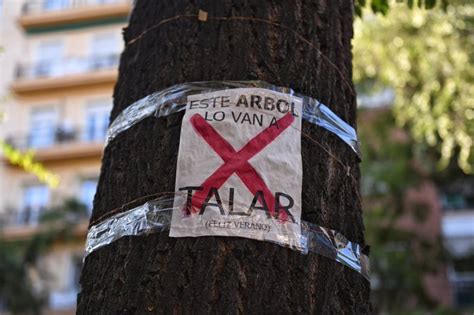 Este sábado tres manifestaciones simultáneas rechazarán las talas de