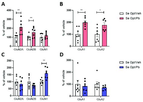 Sex Differences In The Post Synaptic Trafficking Of Glutamatergic