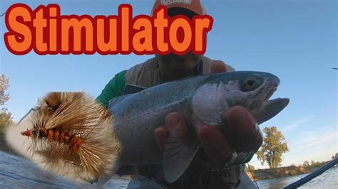 The Stimulator Dry Fly Fishing On The Bow Youtube