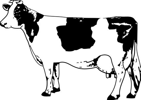 Cow Outline - Cliparts.co