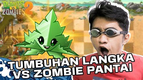 Tumbuhan Langka Ini Bisa Memanggil Banyak Tumbuhan Plants Vs Zombies